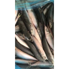 2019 Chinese Wholesale Price New Arrival Pacific Mackerel Fish Sea Frozen Importers/Exporters